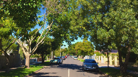 Maidstonevic4.png