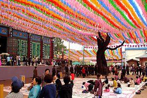 Korea-Seoul-Jogyesa Chinese Scholar Tree 2195-06.JPG
