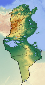 Jebel ech Chambi is located in Tunisia