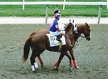 1995BelmontThunderGulch.jpg