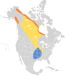 Calcarius pictus map.svg