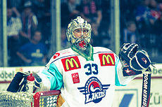 David Aebischer 14.09.2012.jpg