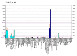 PBB GE PTGS1 215813 s at fs.png