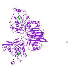 PBB Protein RAN image.jpg