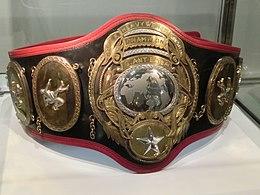 PWFヘビー級王座CIMG8754.jpg