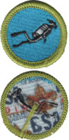 Scuba Diving merit badge, type K.png
