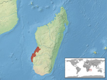 Furcifer labordi distribution.png