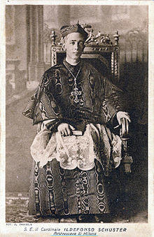 Schustercardinal.jpg