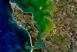 Île d'Oleron.png