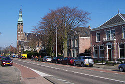 Road through Lisse