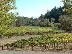 Russian River Valley AVA 2005.jpg