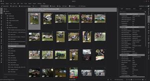 DigiKam 7.0.0 screenshot.png