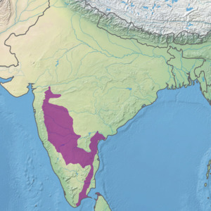 Ecoregion IM1301.png