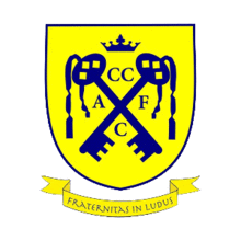 Cwmbran Celtic F.C.png