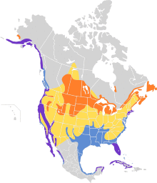 Phalacrocorax auritus map.svg