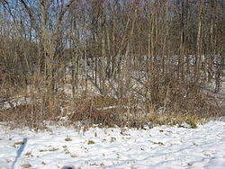 The Brooke Site, an archaeological site in the township