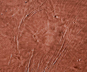 Alba Mons Viking DIM.jpg