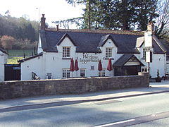 We Three Loggerheads, A494 - DSC05440.JPG