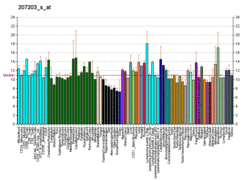 PBB GE NR1I2 207203 s at fs.png