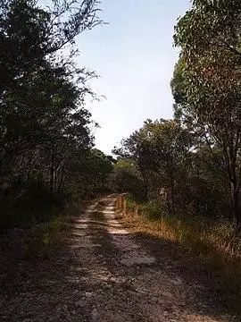 Daleys Point - panoramio (3).jpg