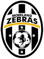 Moreland Zebras FC.png