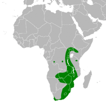 Circus ranivorus distribution.png