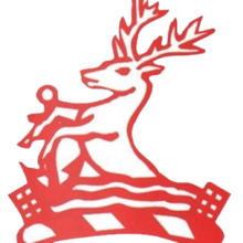 West Hartlepool R.F.C.png
