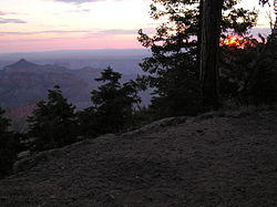 Capefinalview.jpg