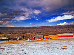 A farm in Lynn Township, 2008