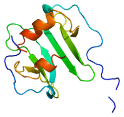 Protein CXCL12 PDB 1a15.png