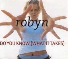 Do You Know (What It Takes) by Robyn 1995 European artwork B.png