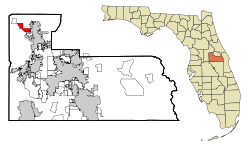 Location in Orange County and the state of Florida