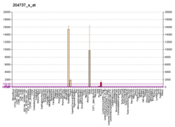 PBB GE MYH6 204737 s at fs.png