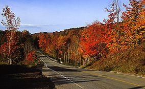Greenbelt - Lower Base Line Road.jpg