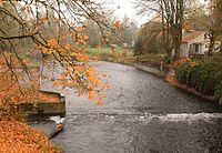 Fall image of the Nehalem River at Vernonia, Oregon