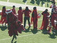 Stanford Tree at 2008 Big Game.JPG