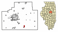 Location of Le Roy in McLean County, Illinois.