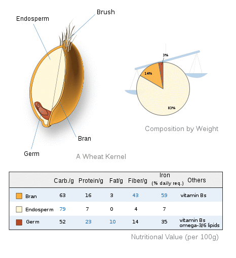 Wheat-kernel nutrition.svg