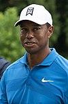 Woods in 2018