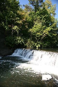 WSTM Free Culture NYU 0016.jpg