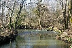 A bend in the River Wolf near Broadwoodwidger - geograph.org.uk - 1701140.jpg