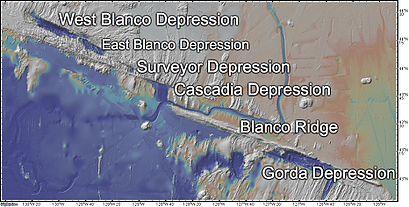 Blanco Labeled.jpg