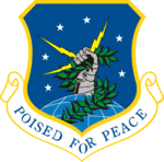 91st Space Wing.png