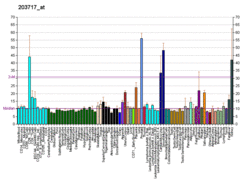 PBB GE DPP4 203717 at fs.png