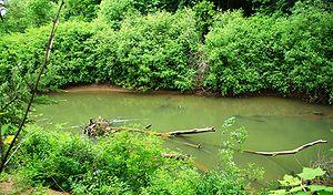 Luckiamute River at Helmick.JPG