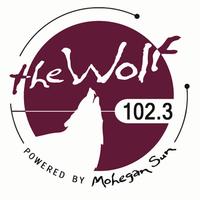 WMOS logo.png
