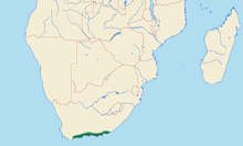 Knysna-Woodpecker distr.png