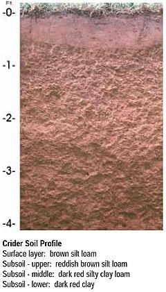 Crider soil USDA NRCS profile.jpg