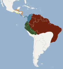 Distribution of Uroderma bilobatum.png