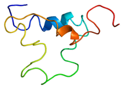 Protein IGF1 PDB 1bqt.png